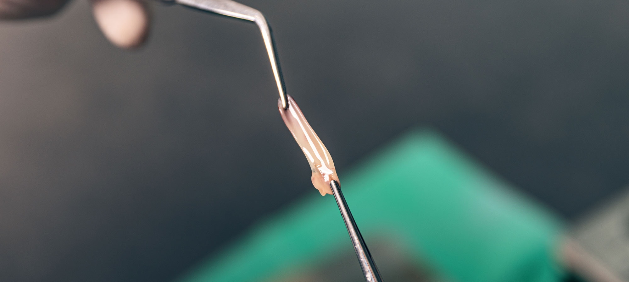 dental instruments close up